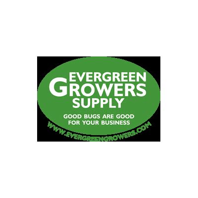 Evergreen growers supply - Target Pests: Broad mites, Hemp Russet mites, Cyclamen mites, Western flower thrips, Onion thrips, and Banboo mites Description: Cucumeris is a species of predatory mite that feeds on immature stages of thrips. It also feeds on pollen, two-spotted mites and other species of mites. Adults are pear-shaped, tan in color, and less than 0.5mm (1/50th in.) long. Eggs are round, transparent, and 0 ... 